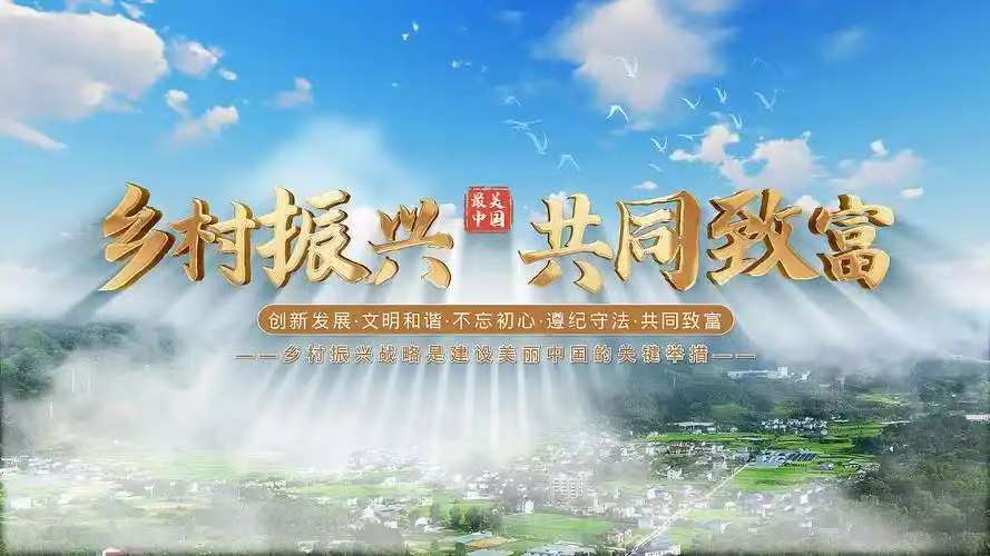 农村突围之路：从困境破局到系统性振兴